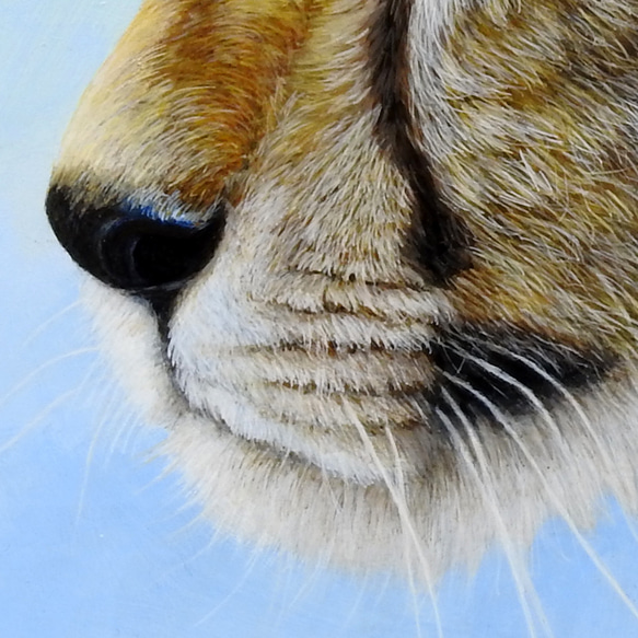 アクリル画  原画「Cub」 SMサイズ  一点物 送料無料 4枚目の画像