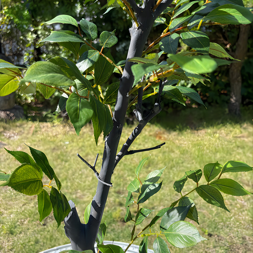 光触媒 人工観葉植物 ウォールグリーン フェイクグリーン