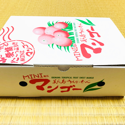 沖縄県産♪ミニマンゴー11㎏ 沖縄県産♪ミニマンゴー11㎏