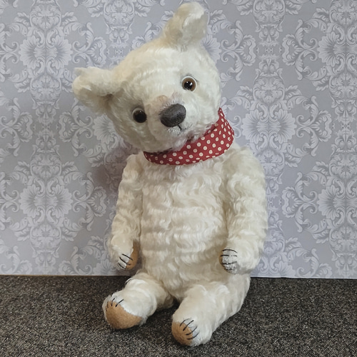 白猫ちゃん♡大好きテディベア 白猫ちゃん♡大好きテディベア