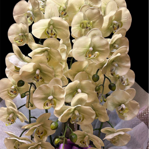 光触媒 人工観葉植物 ウォールグリーン フェイクグリーン リアル