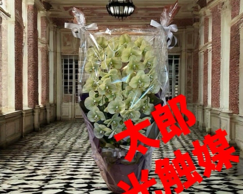 光触媒 人工観葉植物 ウォールグリーン フェイクグリーン リアル