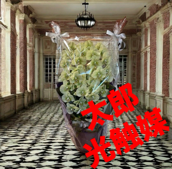最高級 人工観葉植物 光触媒 ウォールグリーン リアル フェイクグリーン フラワー・ガーデニング