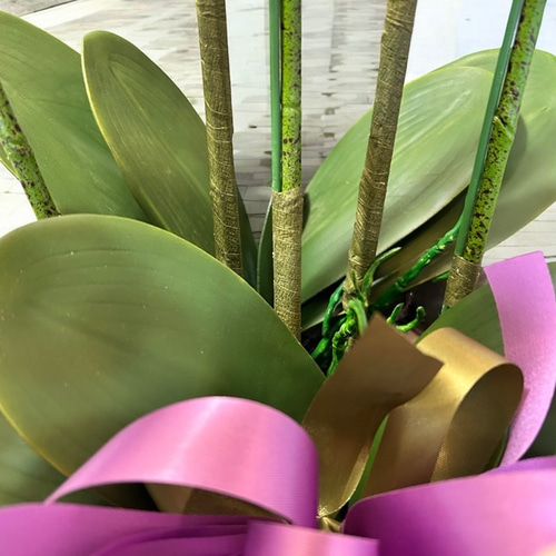 光触媒 人工観葉植物 ウォールグリーン フェイクグリーン リアル