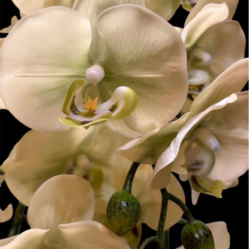 光触媒 人工観葉植物 ウォールグリーン フェイクグリーン リアル