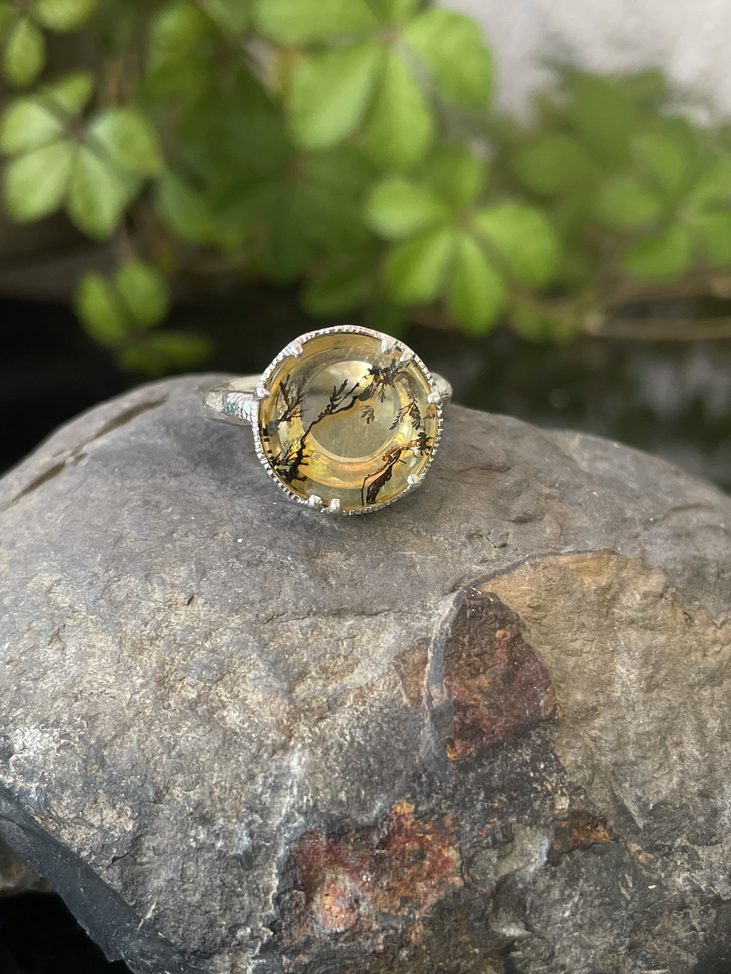 月と樹々《送料無料》