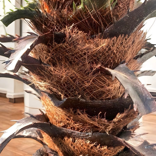 光触媒 人工観葉植物 ウォールグリーン フェイクグリーン フェニックス