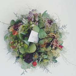 特大リース レモンユーカリ薫る 大きなドライフラワーリース 直径55cm
