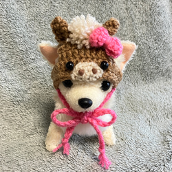 2026年干支 午年 ユニコーン ワンコ用帽子 2026年午年♡馬の帽子♡干支