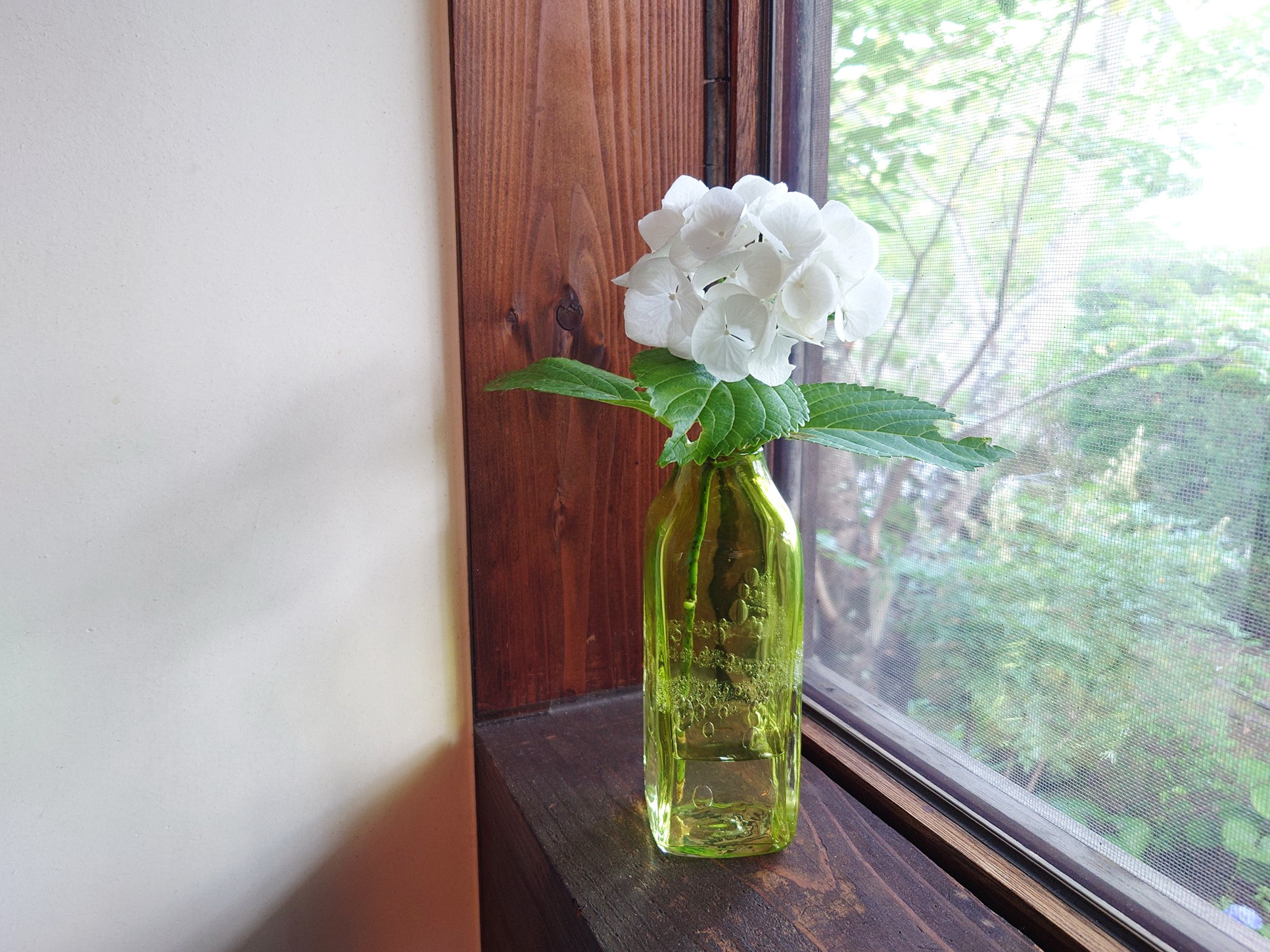 四角い花瓶~lungo~