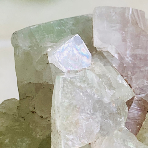 天使の水晶✨　グリーンアポフィライト　原石　魚眼石　スチルバイト　クラスター 天使の水晶✨ レインボー グリーンアポフィライト 原石 魚眼石 スチル