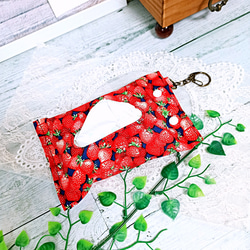 ✨SUMMER SALE✨ いちご系生地・インド刺繍リボン *布小物5点セット* 5枚目の画像