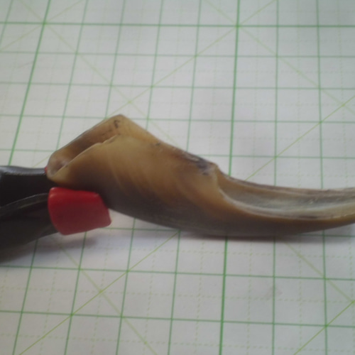 野生のヒグマの爪（大） 超！硬く！厚い！ヒグマ大爪！加工用 その他素材 やまび子工房 通販