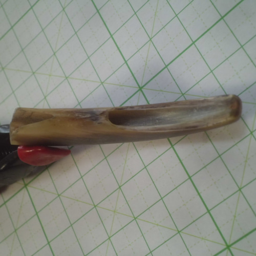 超！硬く！厚い！ヒグマ大爪！加工用 その他素材 やまび子工房 通販