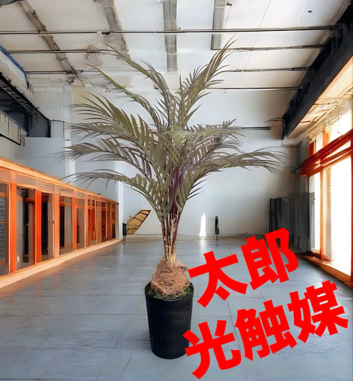 光触媒　人工観葉植物　ウォールグリーン　フェイクグリーン　アレカヤシ茶9265