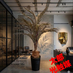 光触媒 人工観葉植物 ウォールグリーン フェイクグリーン ガジュマル