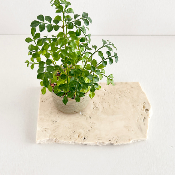 437ロマノトラバーチン（ 大理石端材プレート ） その他インテリア雑貨