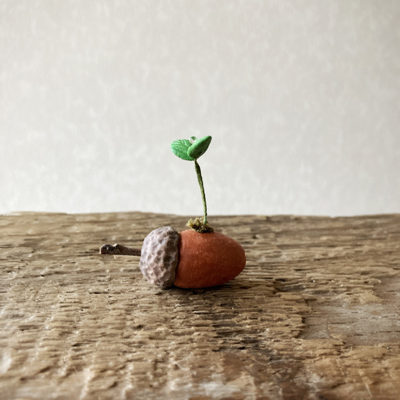 9634.bud 粘土のどんぐり その他インテリア雑貨 bud 通販 19513878