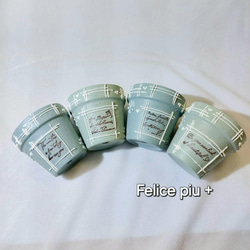 リメイク鉢 リメ鉢 2号鉢8点セット 多肉植物A-35 多肉植物 Felice piu