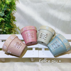 リメイク鉢 リメ鉢 2号鉢6点セット 多肉植物 A-34 多肉植物