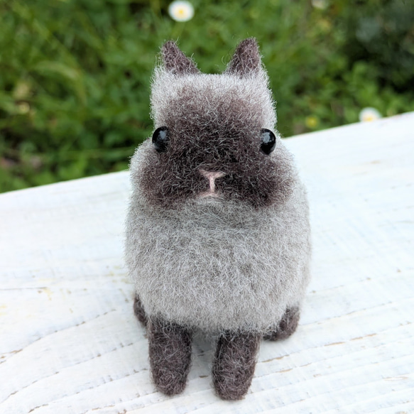 羊毛フェルト ウサギ セーブルポイント 立ち耳 羊毛フェルト ふわっこ