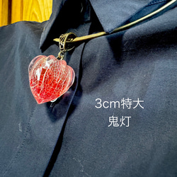 鬼灯レジンの耳飾り（淡いメロンソーダカラー） 19枚目の画像