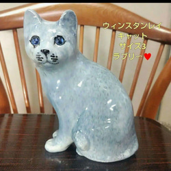 ウィンスタンレイキャット（ケンジントンキャット）白いペルシャ