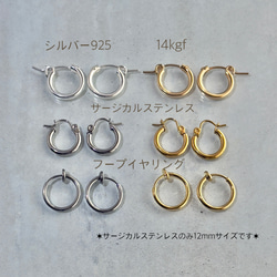 ✶夏の福袋✶涼やかクリスタル 4つのチャーム付き✶フープピアス・イヤリング サージカルステンレス シルバー 14kgf 9枚目の画像