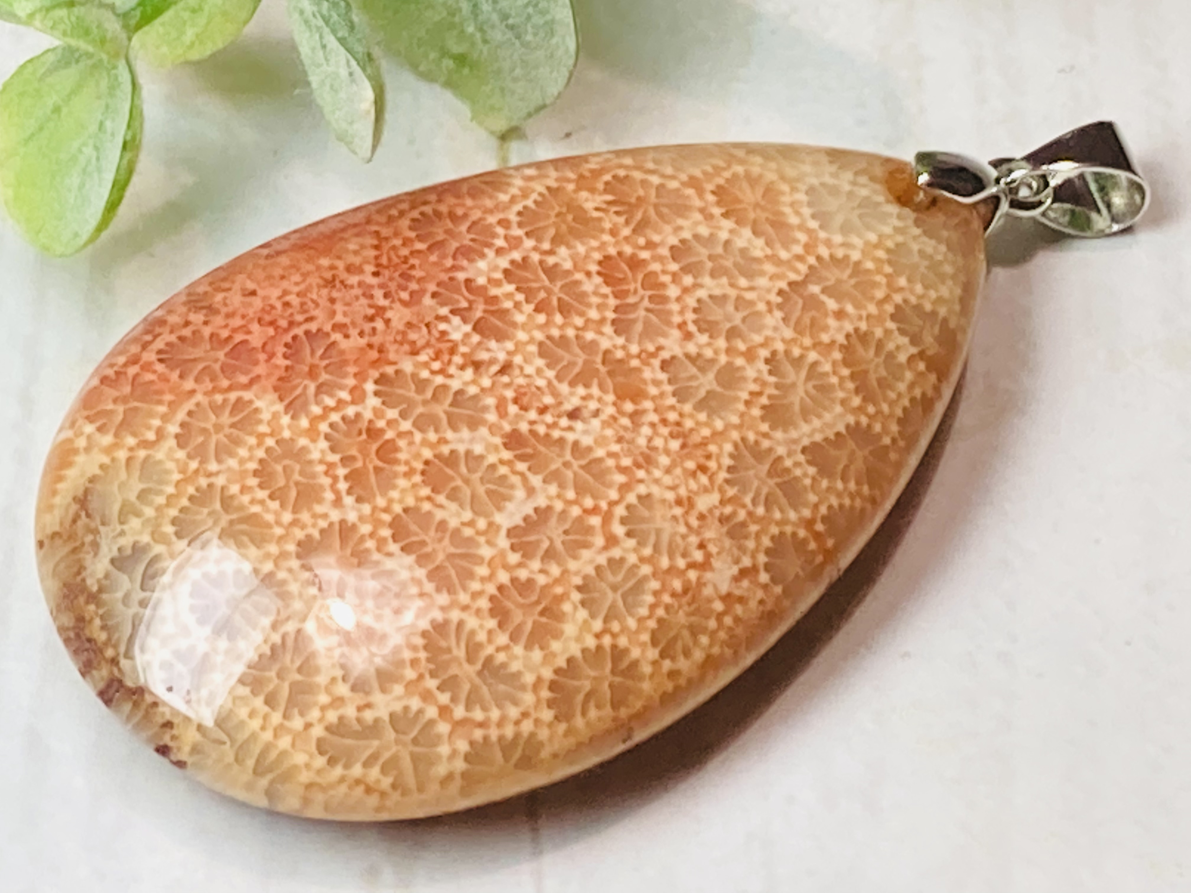海からの贈り物✨　マダガスカル産 レッド フォッシルコーラル　菊目石　ペンダント