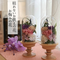 23e2c1666b5eb283708dc1f58b3f6d