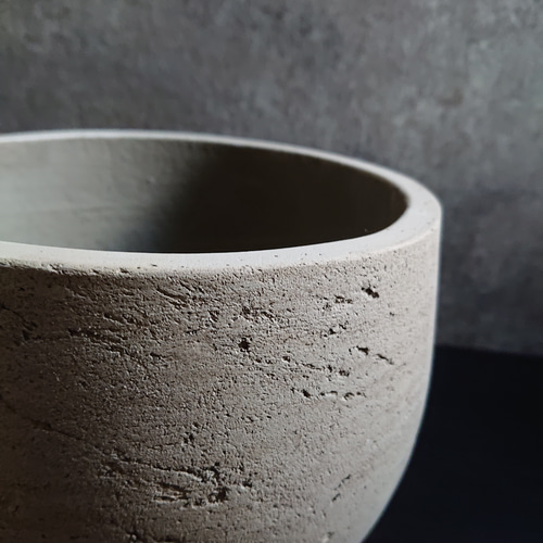 ○数量限定○ ※美樹形ゴムの木 幹太 大きめ ”フィカス アルテシマ 鉢