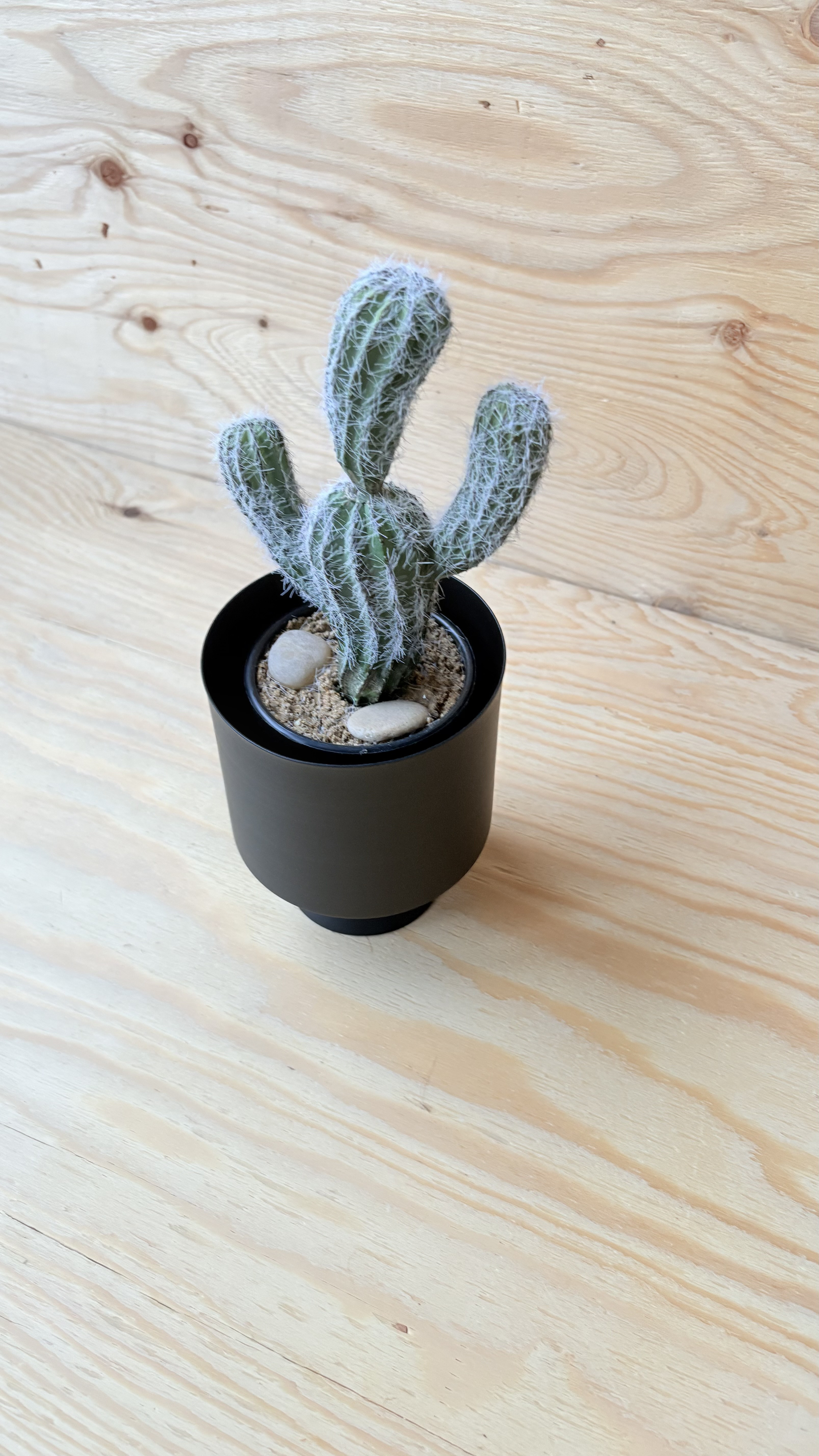 フェイクサボテン　全長28cmサボテン　黒ポット付き　人口観葉植物　お洒落インテリア　お家カフェ　店舗ディスプレイ