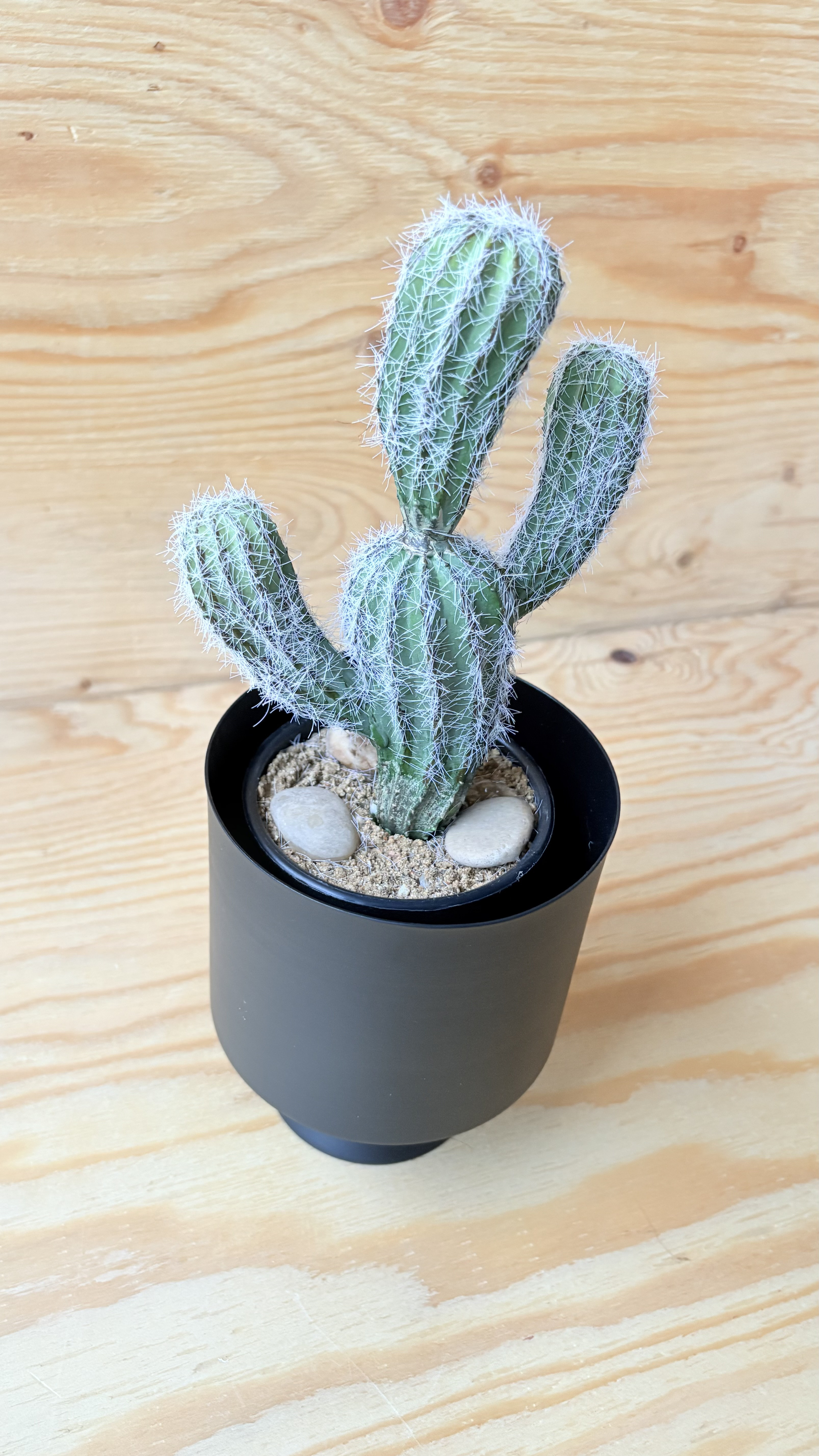 フェイクサボテン　全長28cmサボテン　黒ポット付き　人口観葉植物　お洒落インテリア　お家カフェ　店舗ディスプレイ