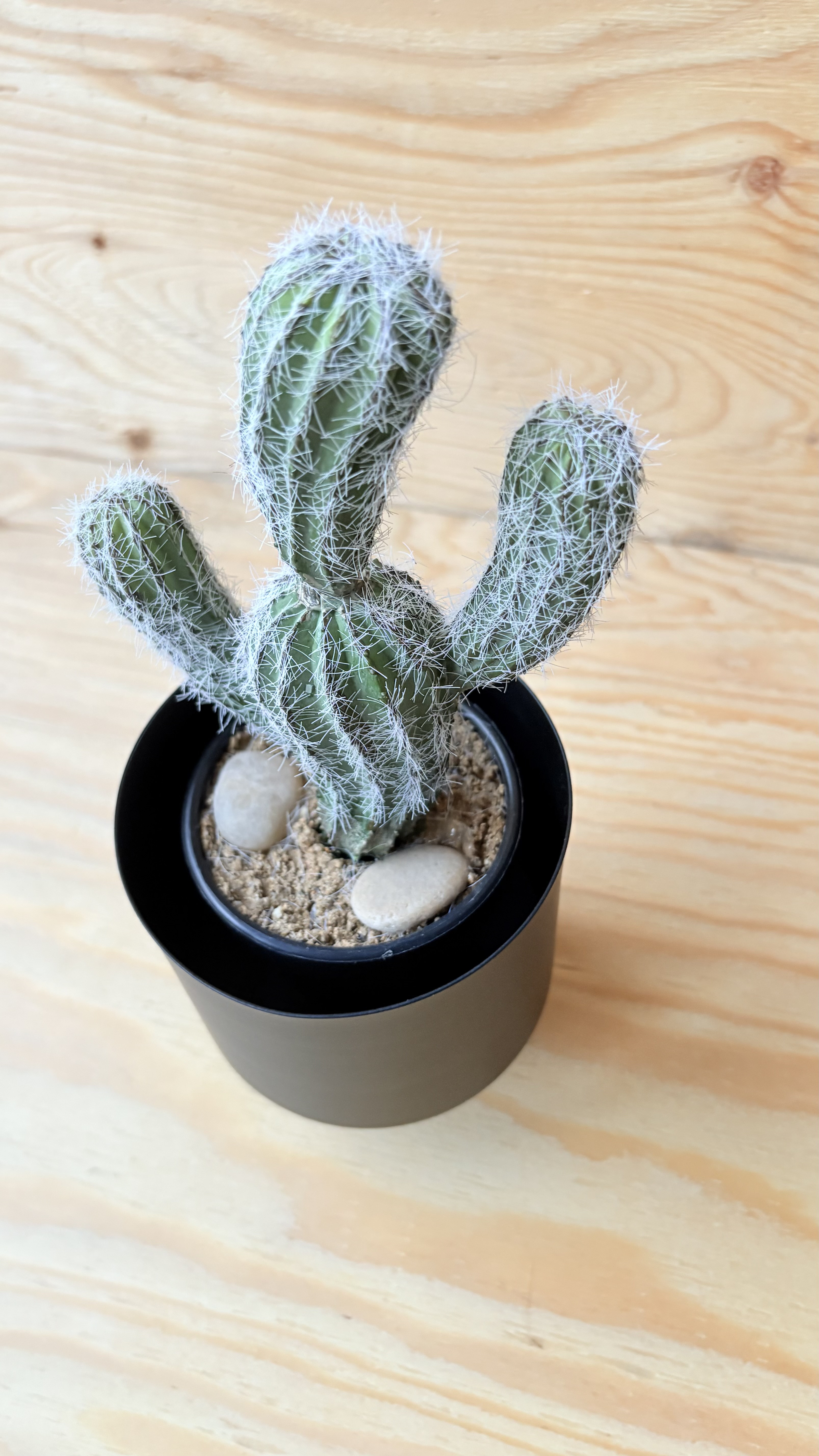 フェイクサボテン　全長28cmサボテン　黒ポット付き　人口観葉植物　お洒落インテリア　お家カフェ　店舗ディスプレイ