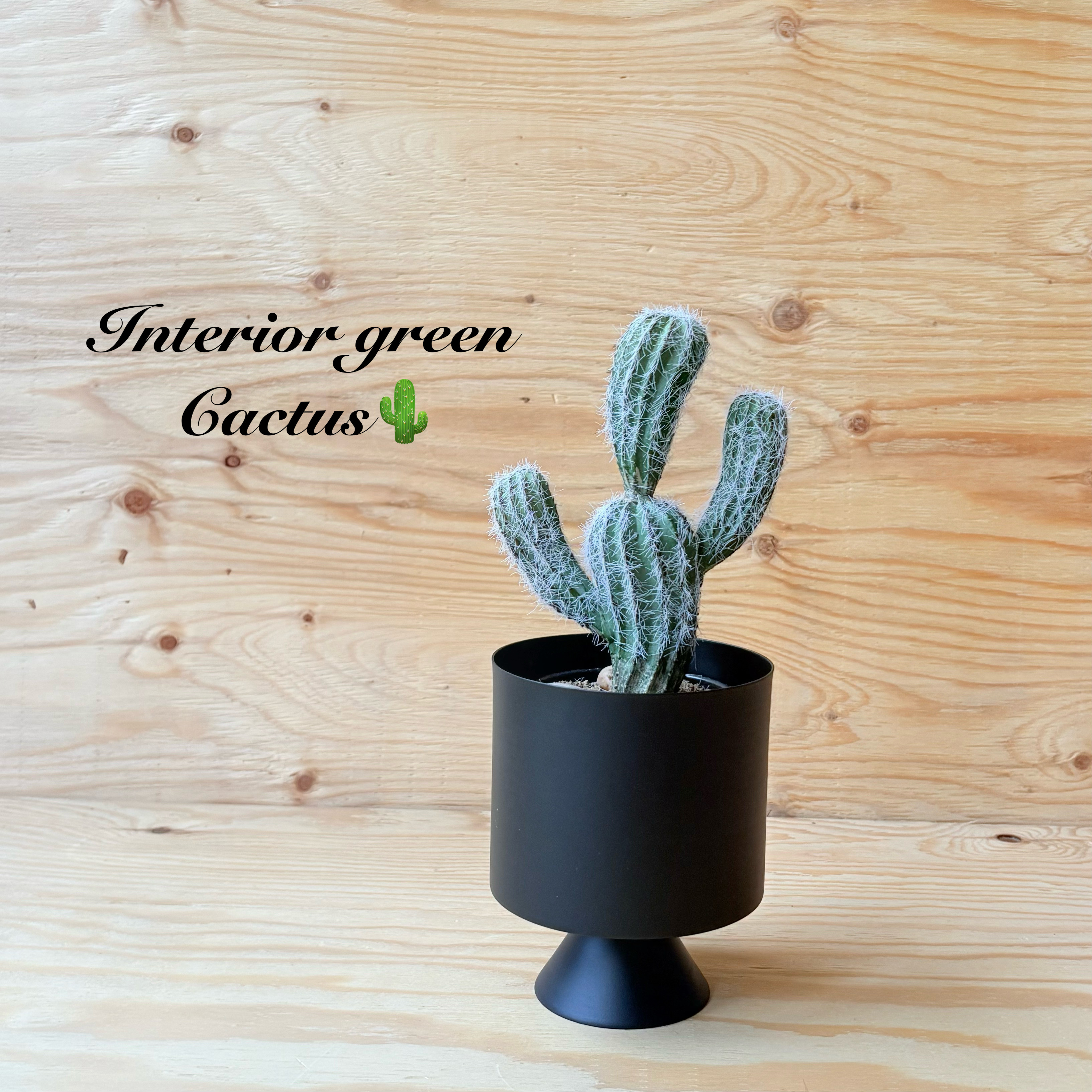 フェイクサボテン　全長28cmサボテン　黒ポット付き　人口観葉植物　お洒落インテリア　お家カフェ　店舗ディスプレイ