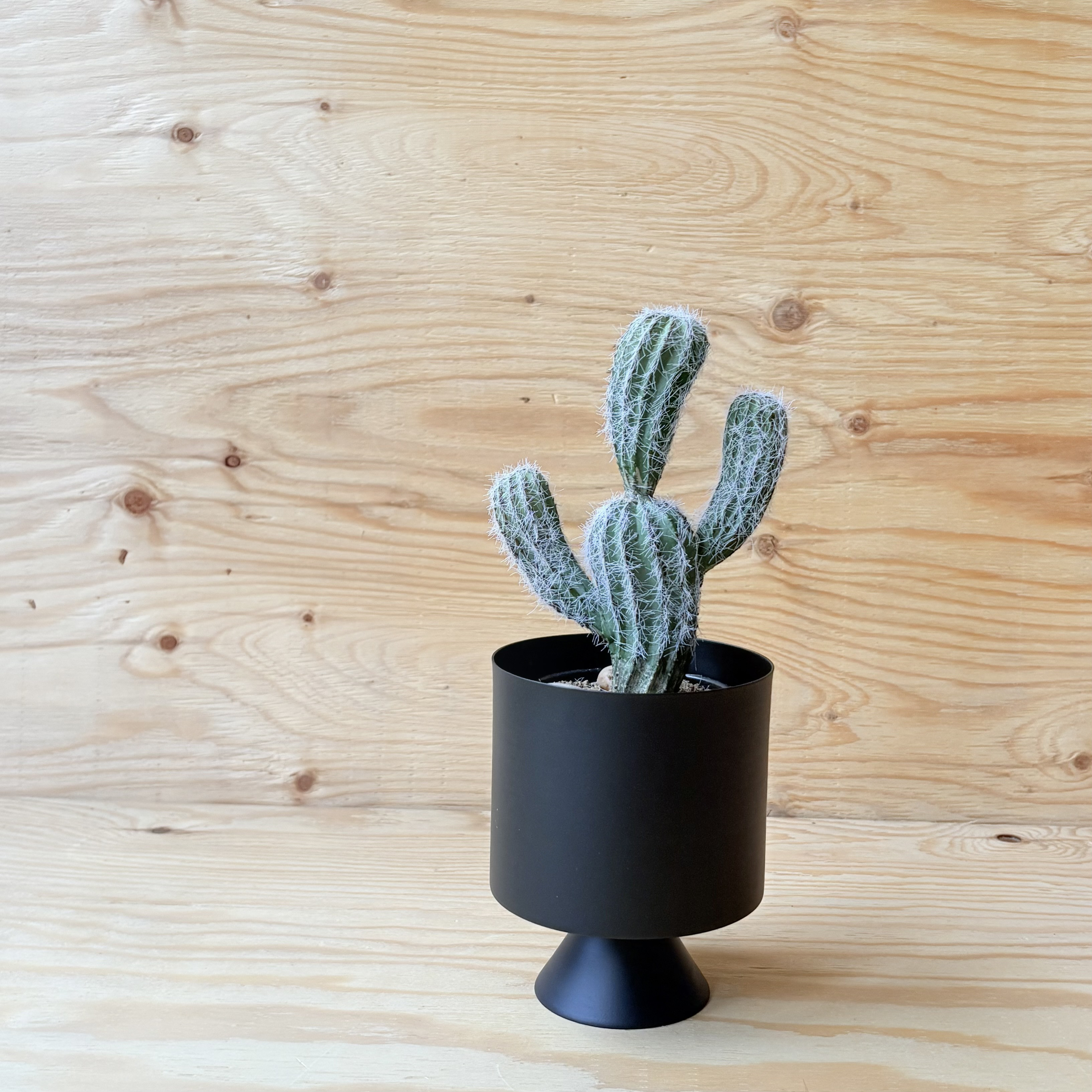 フェイクサボテン　全長28cmサボテン　黒ポット付き　人口観葉植物　お洒落インテリア　お家カフェ　店舗ディスプレイ
