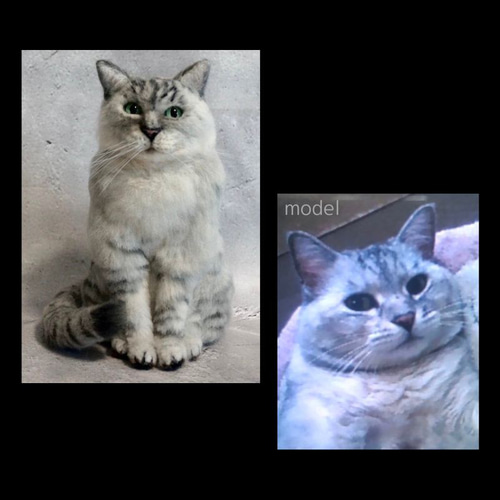 オーダー用パネル♥️可愛い眠りダックスフンド♥️天使な猫♥️フラットポーチ等 オーダー用パネル♥️可愛い眠りダックスフンド♥️天使な猫