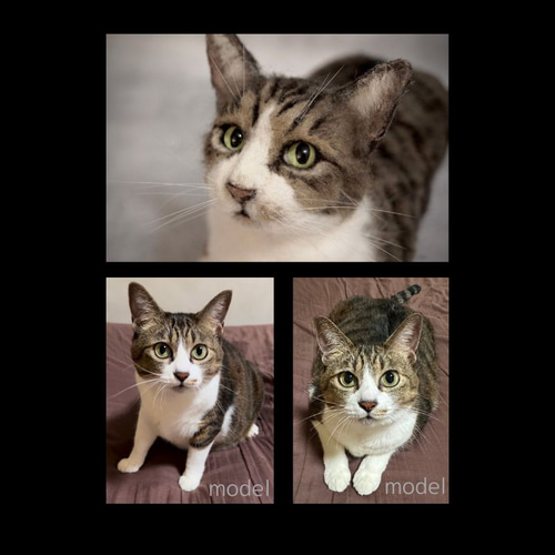 即購入不可｜【オーダー受付】羊毛フェルト 犬 猫｜ニードル