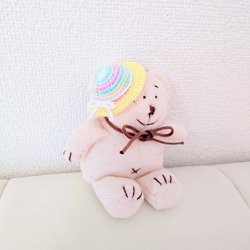 ぬいぐるみ用】 肩掛けバッグ2つセット（スイカ） あみぐるみ もち