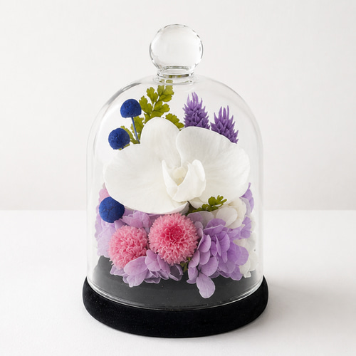 お供えガラスドーム プリザーブドフラワー 上品な胡蝶蘭の仏花 仏壇