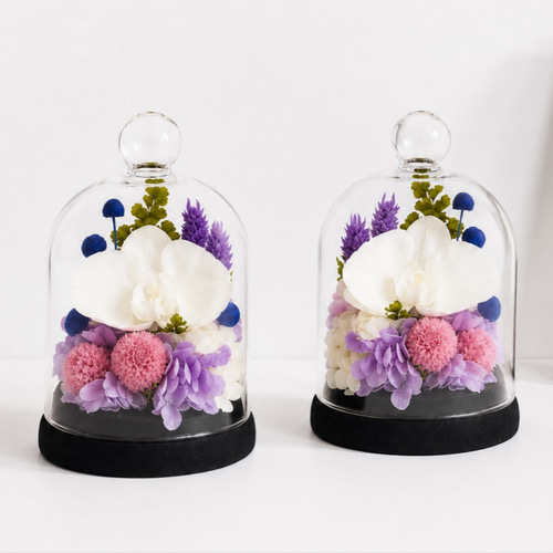 お供えガラスドーム プリザーブドフラワー 上品な胡蝶蘭の仏花 仏壇