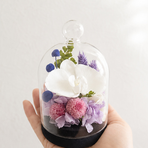 ガラスドーム プリザーブドフラワーお供え 上品な胡蝶蘭の仏花 小さい
