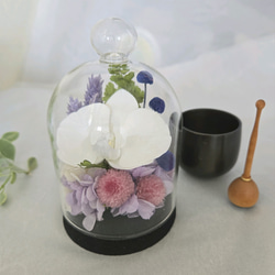 胡蝶蘭のコンパクトなガラスドーム入りお供え花P　丸い千日紅が可憐なプリザーブドフラワー仏花　仏壇　お盆　ミニ　ペットお供 8枚目の画像