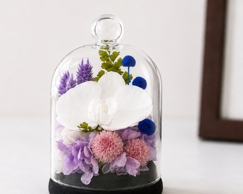 お供えガラスドーム プリザーブドフラワー 上品な胡蝶蘭の仏花 仏壇