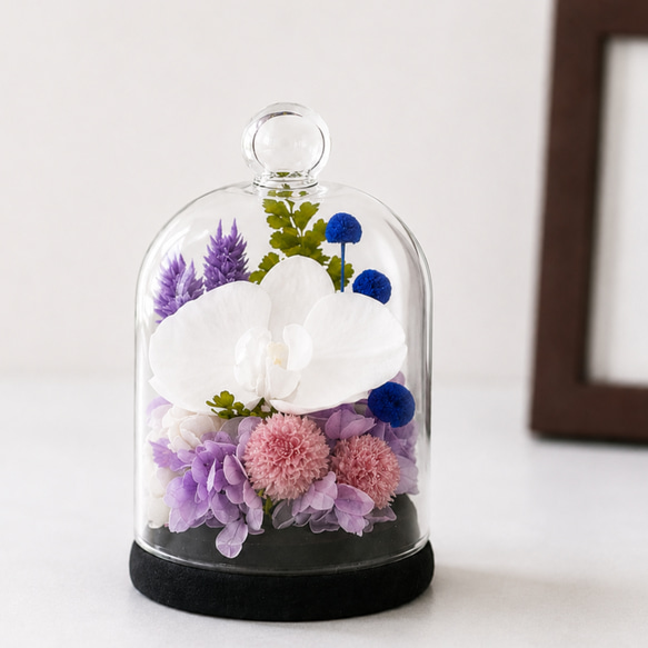 お供えガラスドーム プリザーブドフラワー 上品な胡蝶蘭の仏花 仏壇