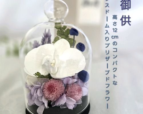 プリザーブドフラワーガラスドーム仏花　コンパクトサイズ　一対　お盆　お供え 再販］胡蝶蘭のコンパクトなガラスドーム入りお供え花P 丸い