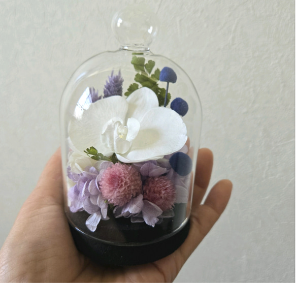胡蝶蘭のコンパクトなガラスドーム入りお供え花P　丸い千日紅が可憐なプリザーブドフラワー仏花　仏壇　お盆　ミニ　ペットお供 3枚目の画像