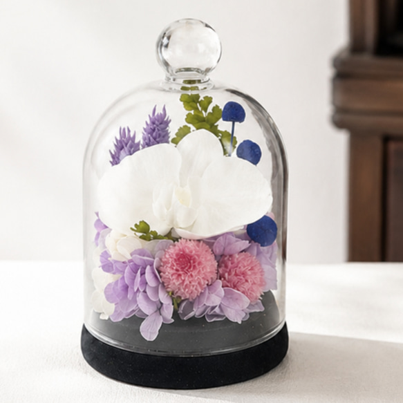 ガラスドーム プリザーブドフラワーお供え 上品な胡蝶蘭の仏花 小さい