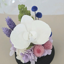 胡蝶蘭のコンパクトなガラスドーム入りお供え花P　丸い千日紅が可憐なプリザーブドフラワー仏花　仏壇　お盆　ミニ　ペットお供 6枚目の画像