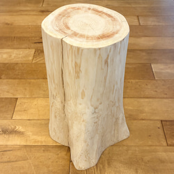 【Pet Table Hinoki】 No.1286 10096053-